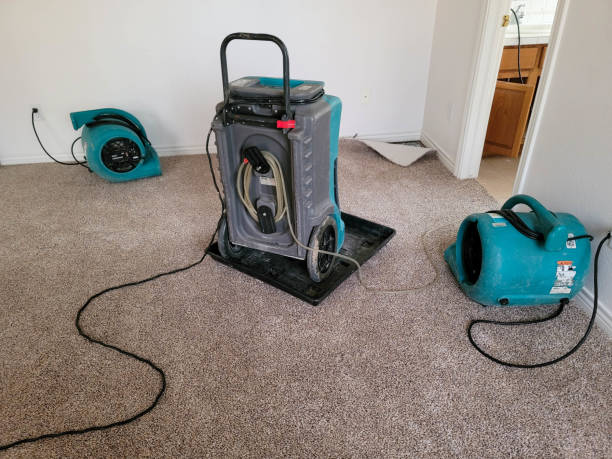 Best 24/7 water damage repair  in Beechwood Trails, OH