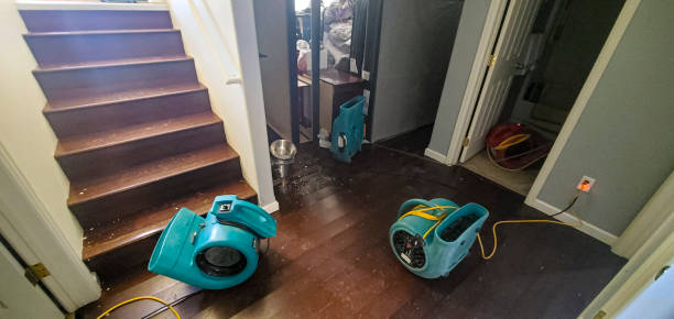 Best Carpet water damage restoration  in Beechwood Trails, OH