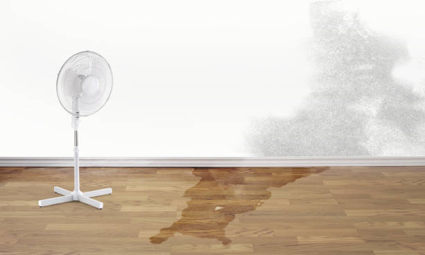 Best Ceiling water damage repair  in Beechwood Trails, OH