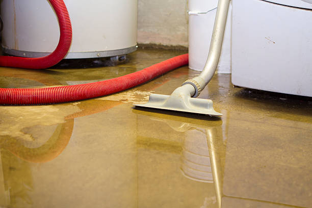 Best Flood damage cleanup  in Beechwood Trails, OH
