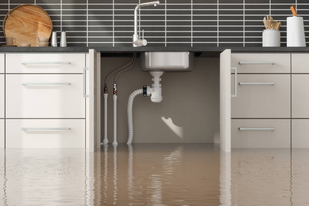  Beechwood Trails, OH Water damage restoration Pros