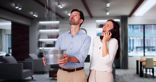 Best Fire Damage Restoration  in Beechwood Trails, OH